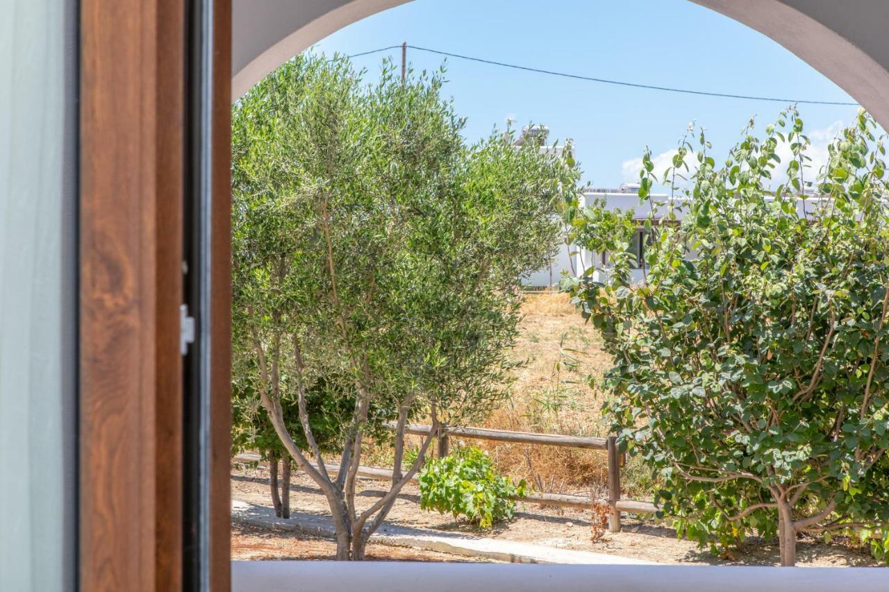 Studio Tolakis Διαμέρισμα Πλάκα Εξωτερικό φωτογραφία