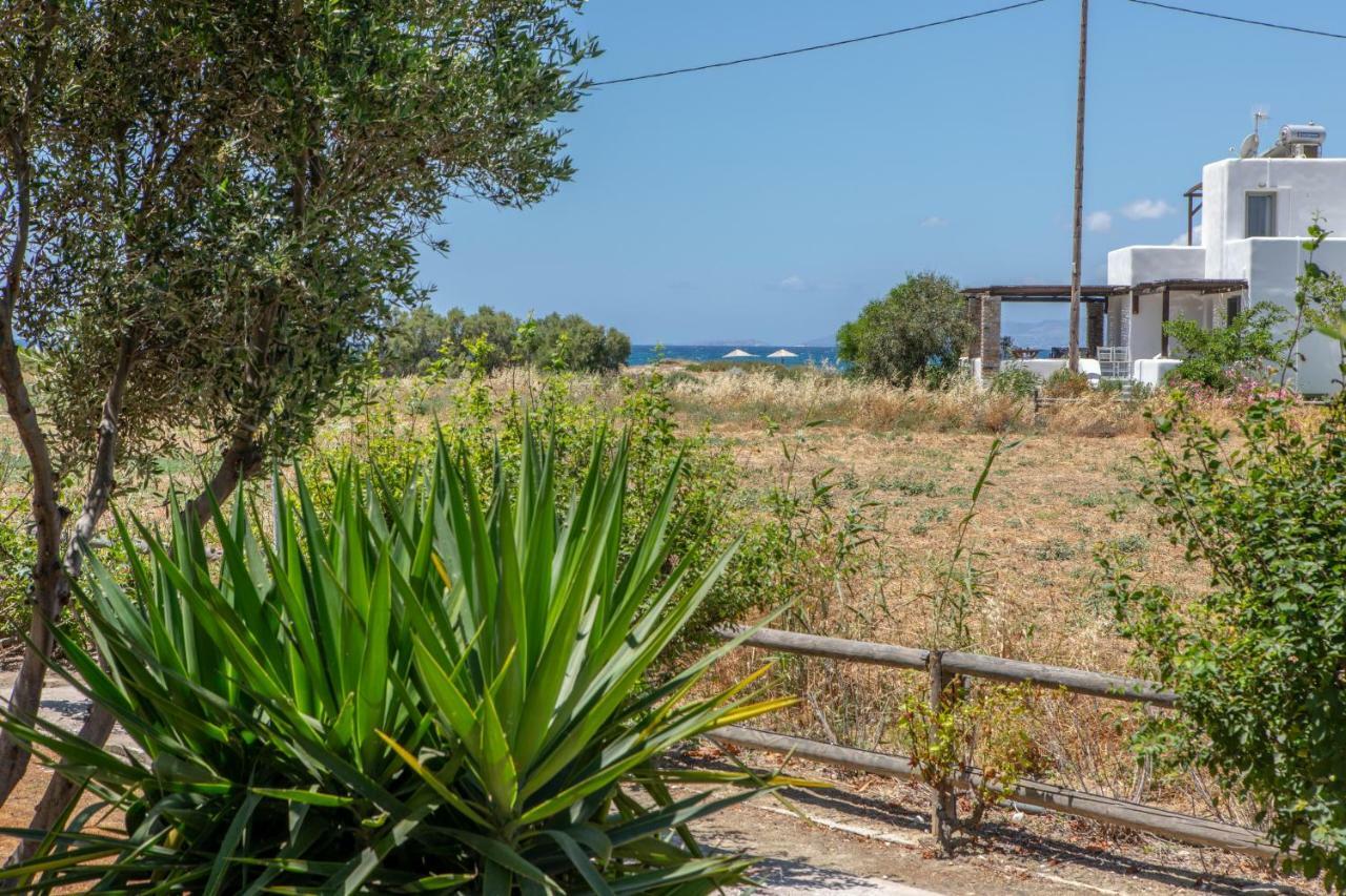 Studio Tolakis Διαμέρισμα Πλάκα Εξωτερικό φωτογραφία