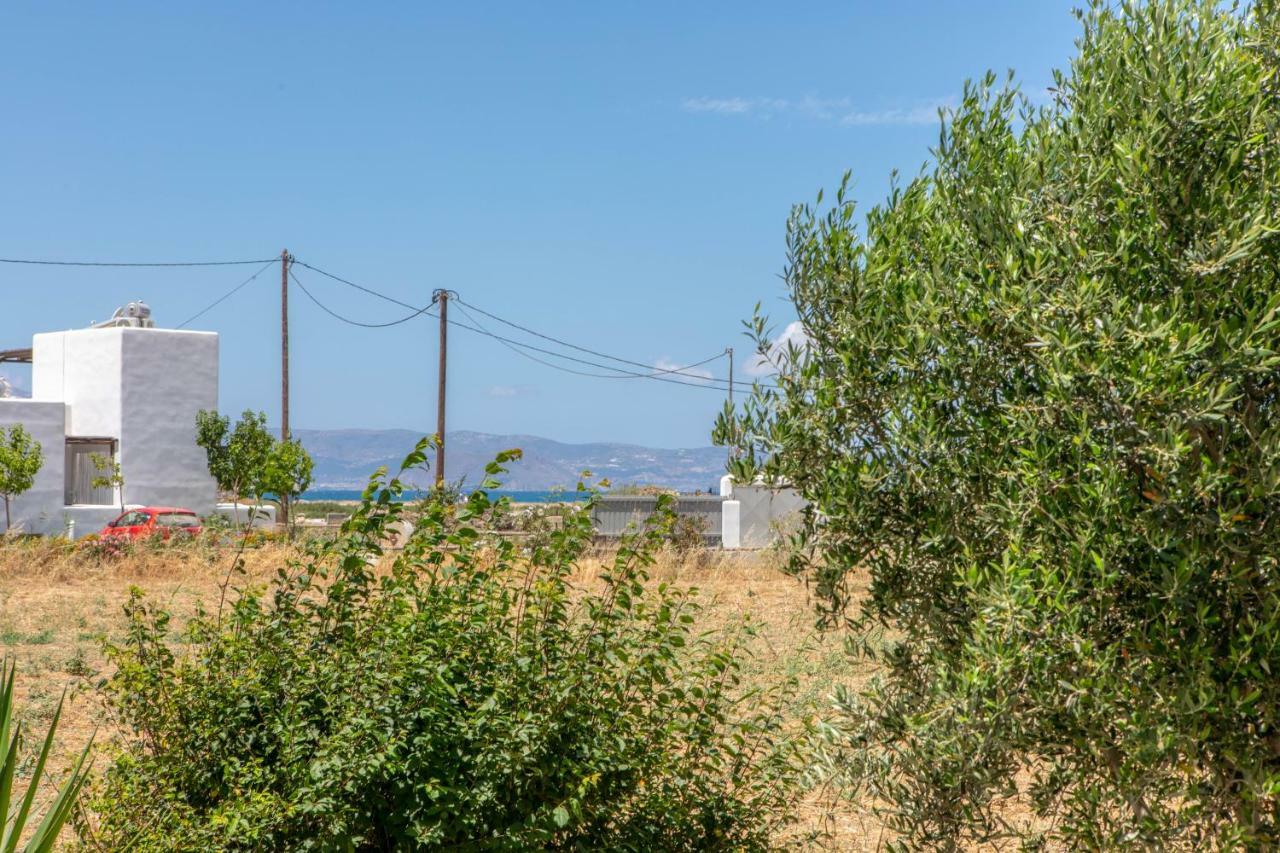 Studio Tolakis Διαμέρισμα Πλάκα Εξωτερικό φωτογραφία